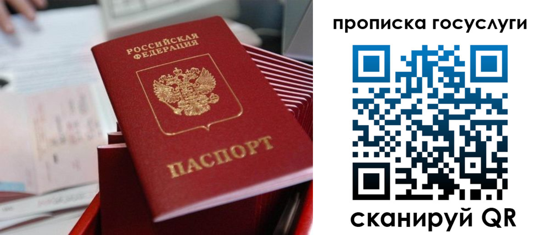 прописка законно в Видном